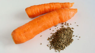 Carrot benih dari parasit